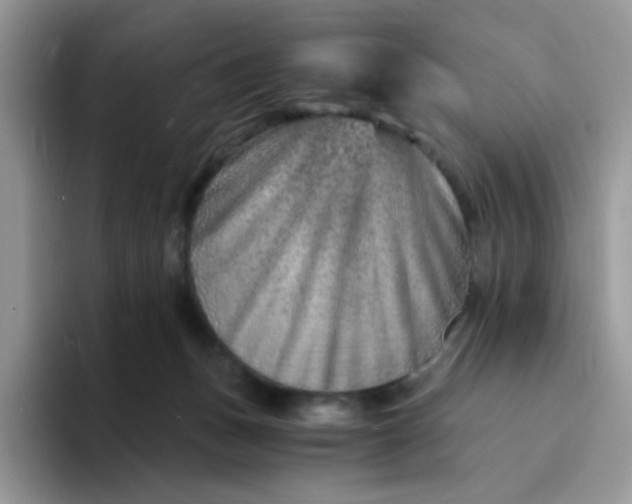 X0000094200175200711091226