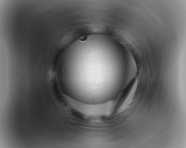 X0000094200176200711091226