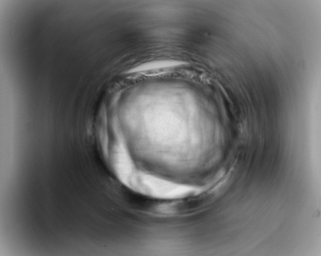 X0000094200178200711091226