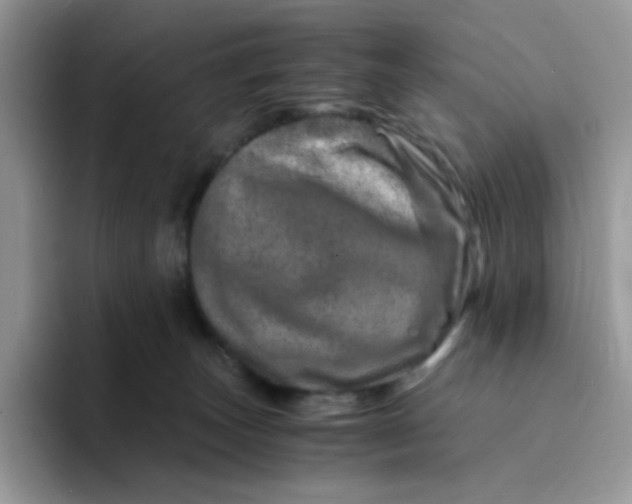 X0000094200179200711091226