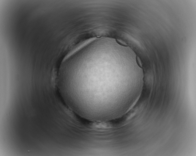 X0000094200181200711091226