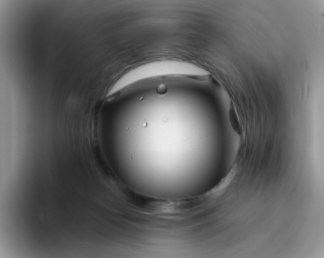 X0000094200182200711091226