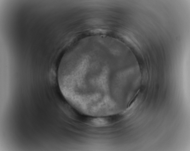 X0000094200183200711091226