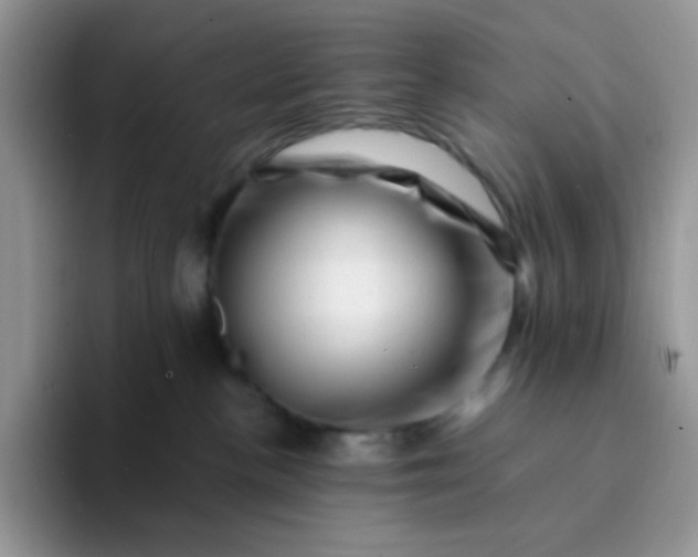 X0000094200188200711091226