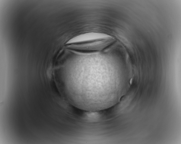 X0000094200189200711091226