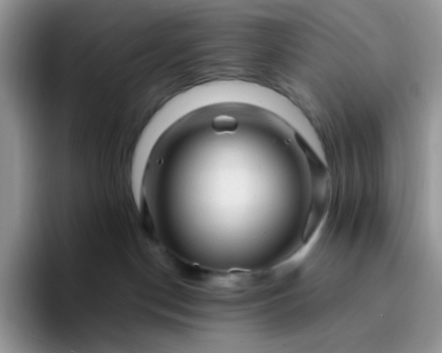 X0000094200190200711091226