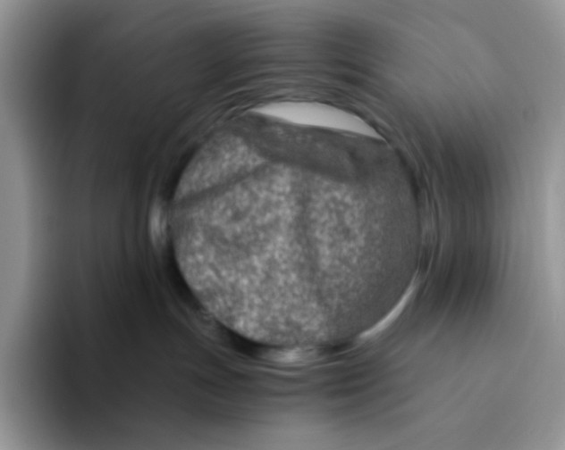 X0000094200191200711091226