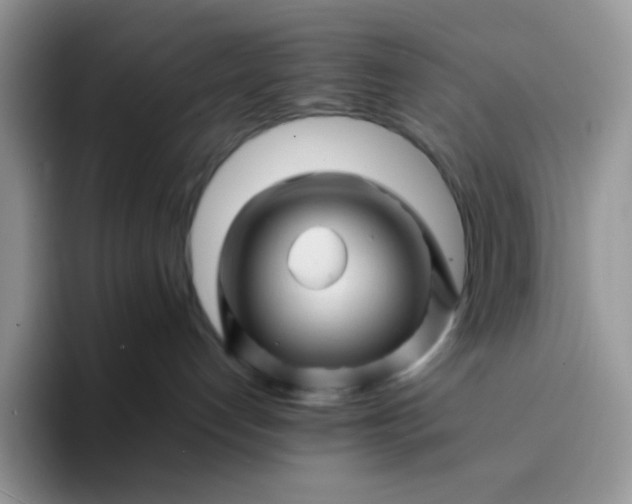 X0000094200192200711091226