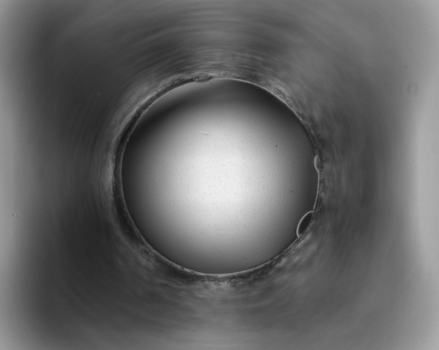 X0000094200194200711091225