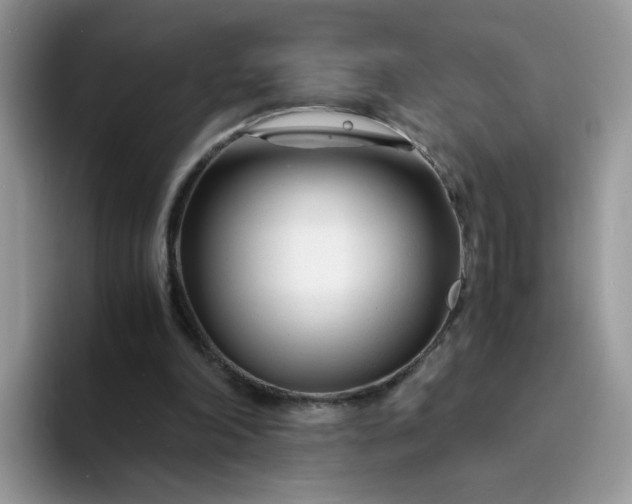 X0000094200198200711091225