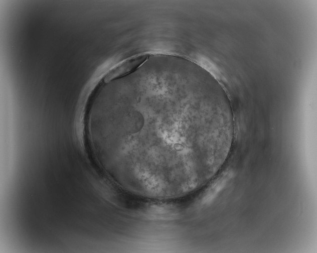 X0000094200199200711091225