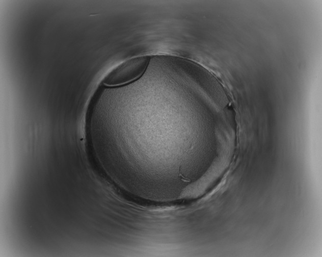 X0000094200200200711091225