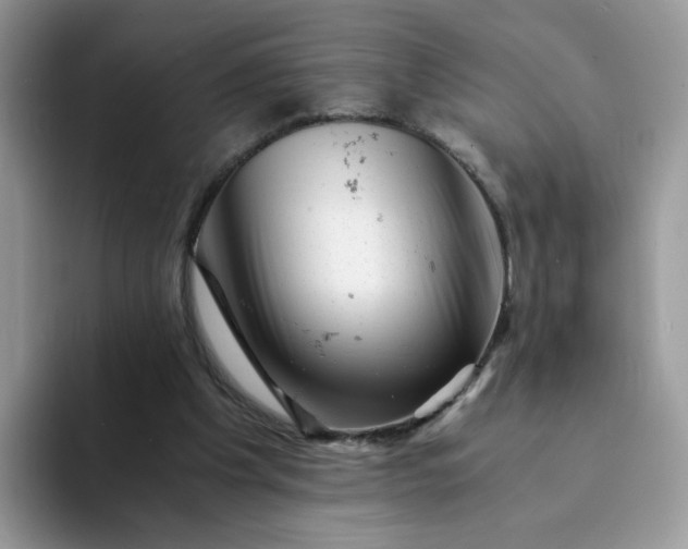 X0000094200201200711091225