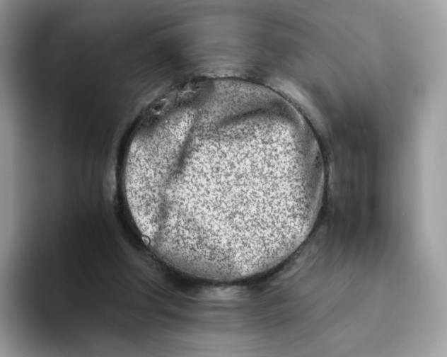 X0000094200202200711091225