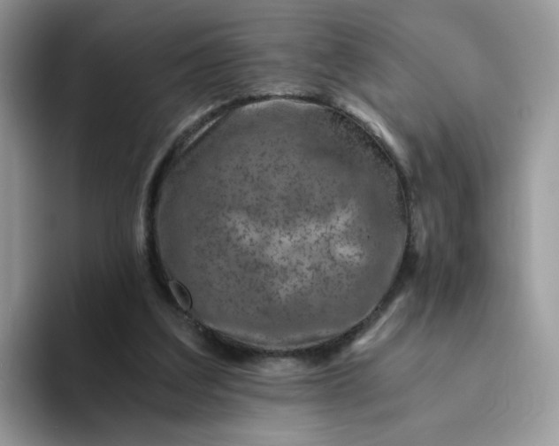 X0000094200203200711091225