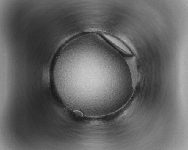 X0000094200204200711091225