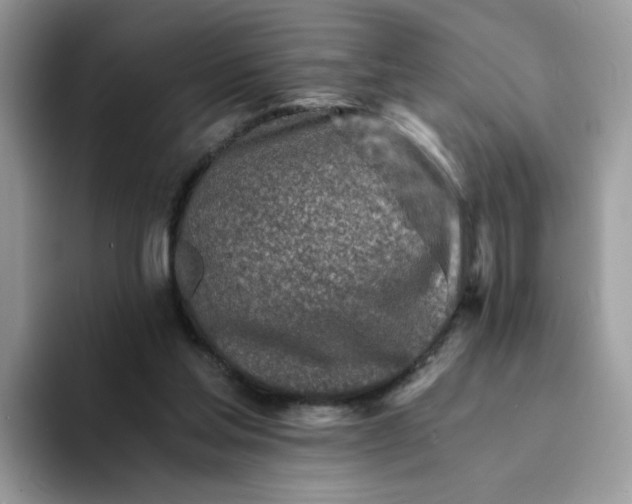 X0000094200205200711091225