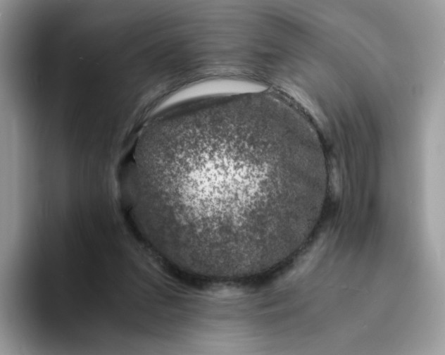 X0000094200207200711091225