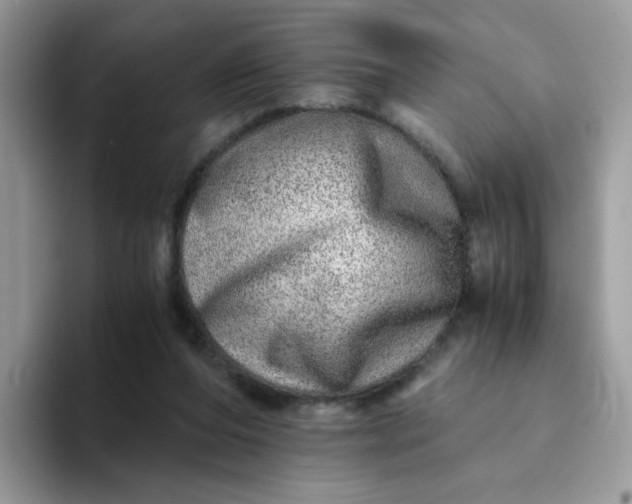 X0000094200208200711091225