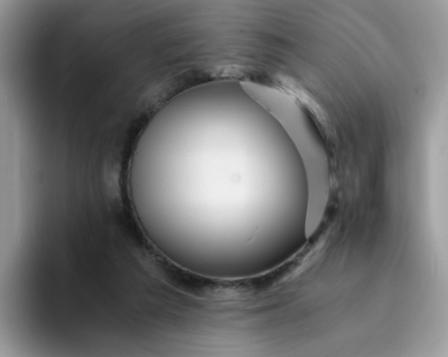 X0000094200209200711091225