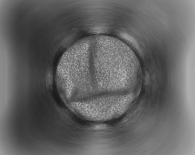 X0000094200210200711091225