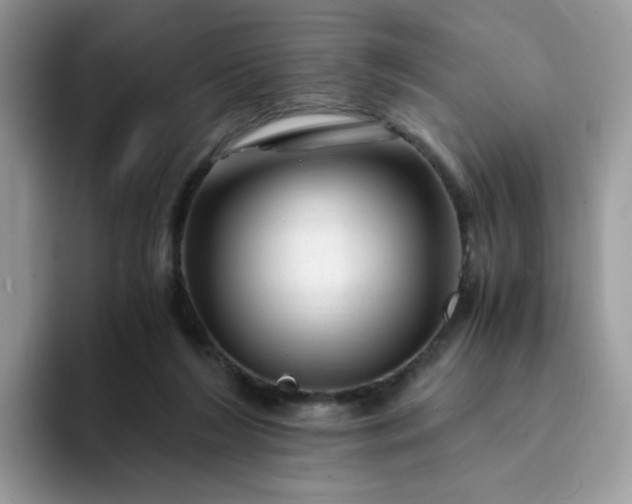 X0000094200212200711091225