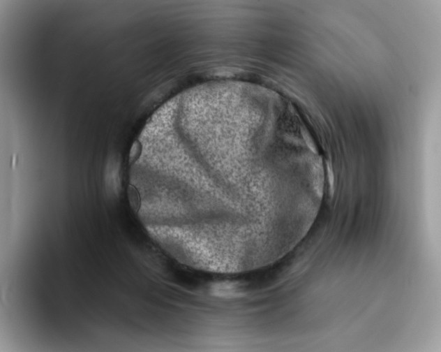 X0000094200216200711091225