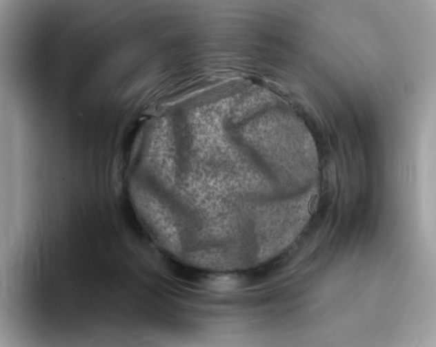 X0000094200218200711091225