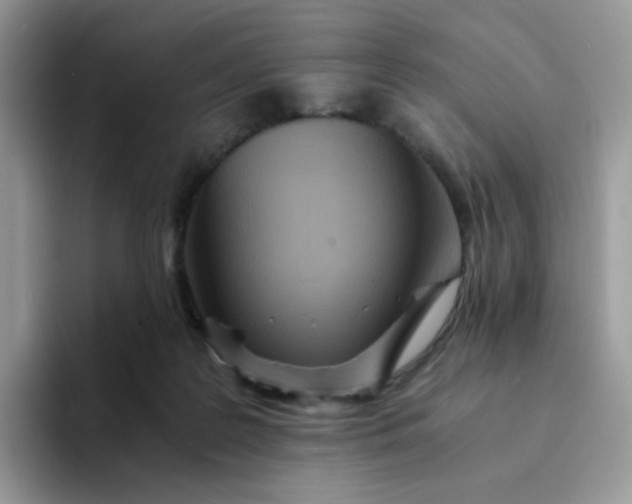 X0000094200219200711091225