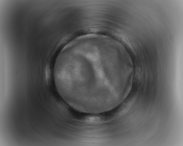 X0000094200220200711091225