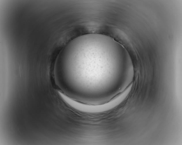 X0000094200221200711091225