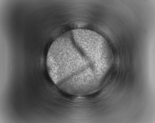 X0000094200222200711091225