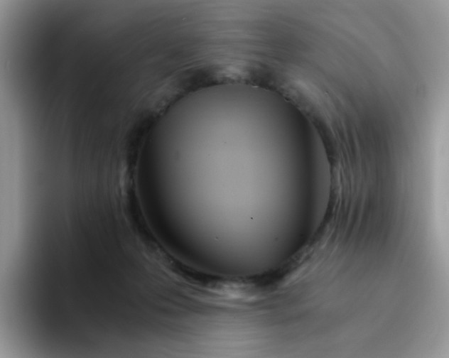 X0000094200223200711091225