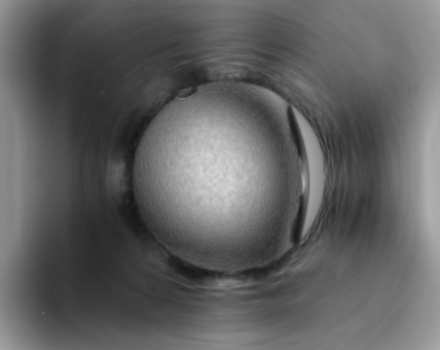 X0000094200224200711091225