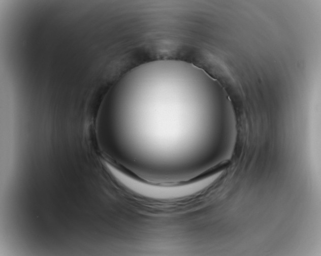 X0000094200225200711091225