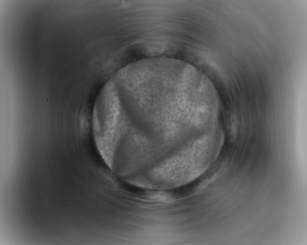 X0000094200226200711091225