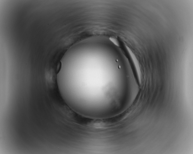 X0000094200228200711091225