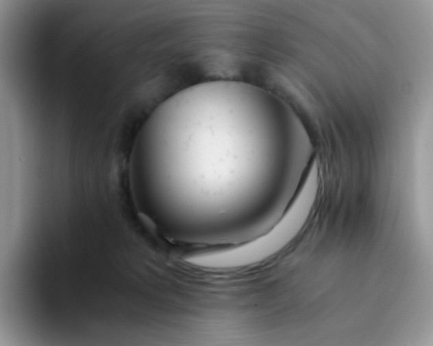 X0000094200229200711091225