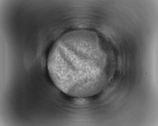 X0000094200230200711091225