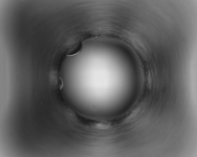 X0000094200232200711091225