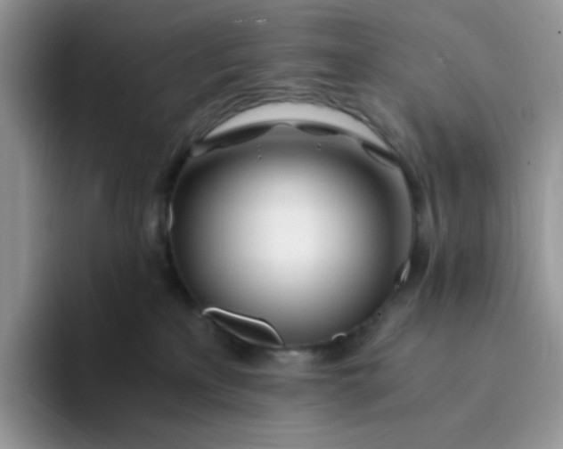 X0000094200233200711091225