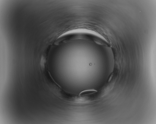 X0000094200235200711091225