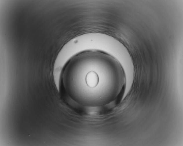 X0000094200237200711091225