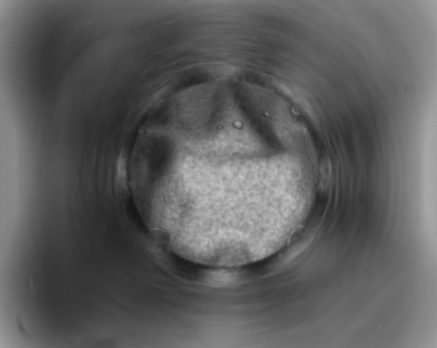 X0000094200238200711091225