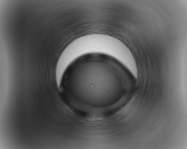 X0000094200239200711091225