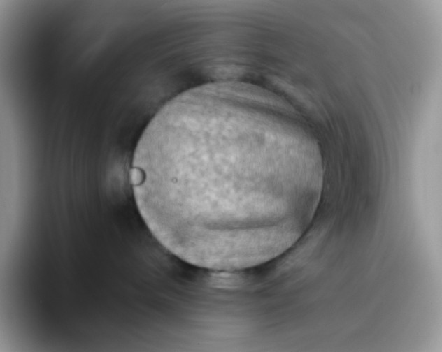 X0000094200240200711091225