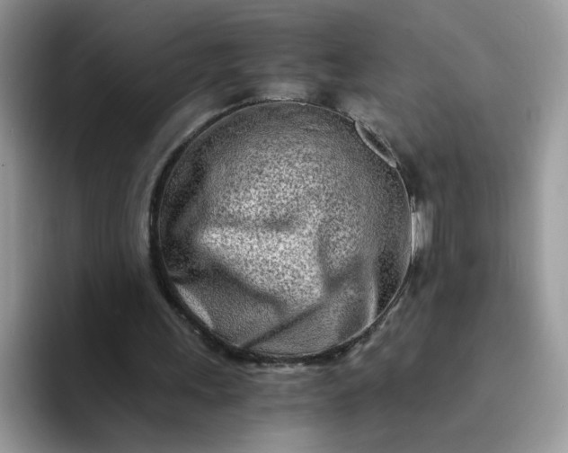 X0000094200243200711091224