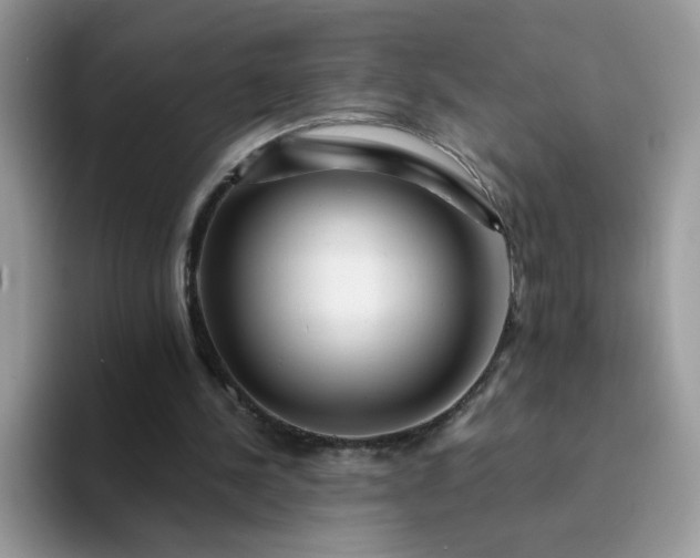 X0000094200244200711091224