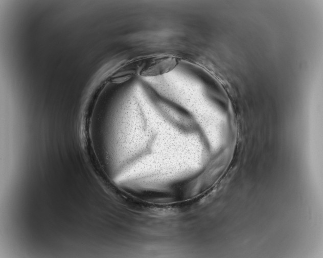 X0000094200245200711091224