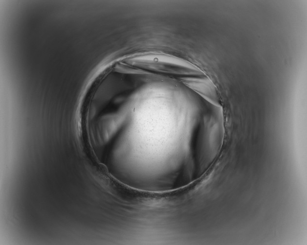 X0000094200246200711091224